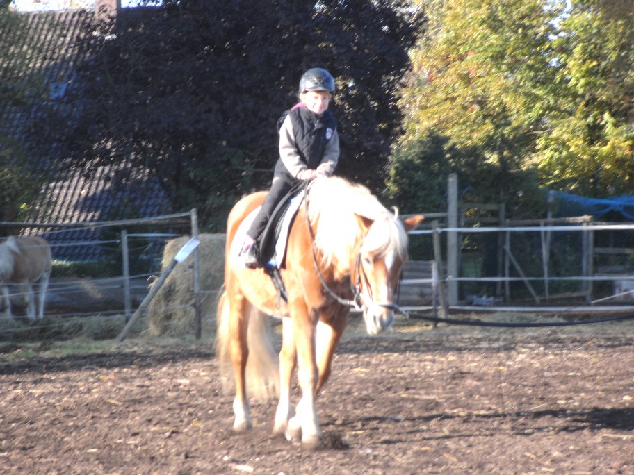 Reiten