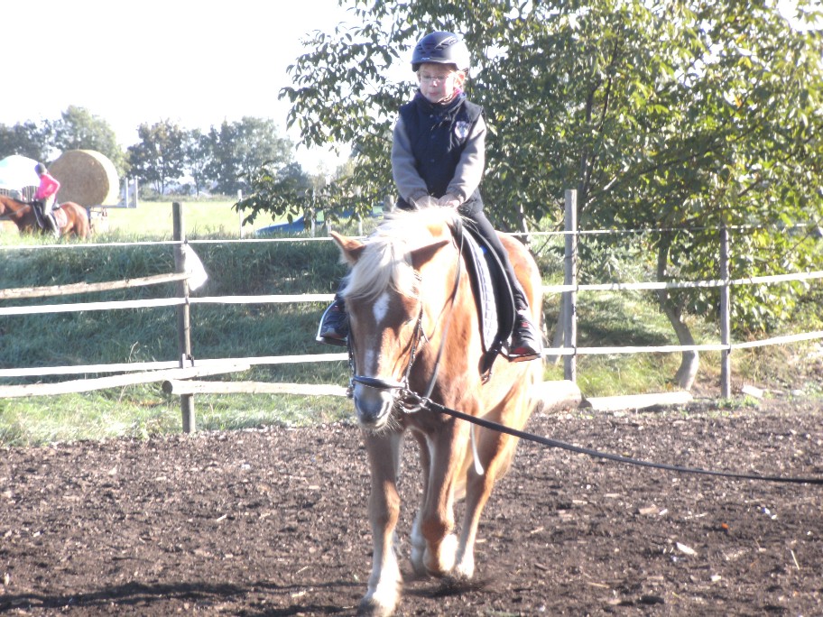 Reiten